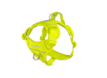 RC Pets🍁 Tennis Momentum Control Harness