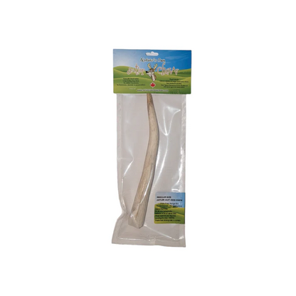 Nature's Own🍁 Naturally Shed Whole Elk Antler