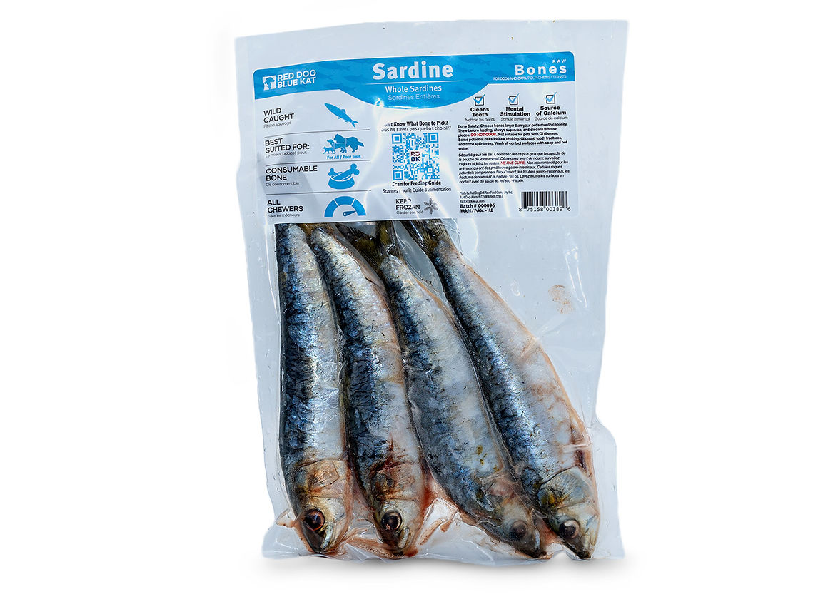 Red Dog Blue Kat 🍁Whole Sardines Large 4/PK