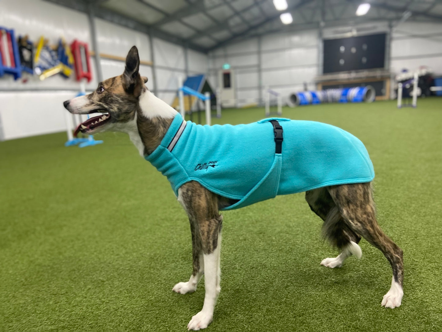 Chilly Dogs🍁 Arctic Blue Long and Lean Fleece Sweater