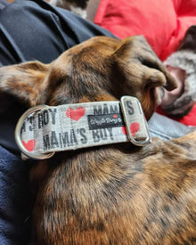 Wiggle Bumz 🍁Mama's Boy Martingale Collar