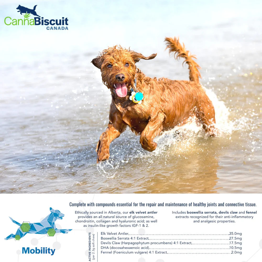 CannaBiscuit 🍁Mobility with Glucosamine & Chondroitin 224g