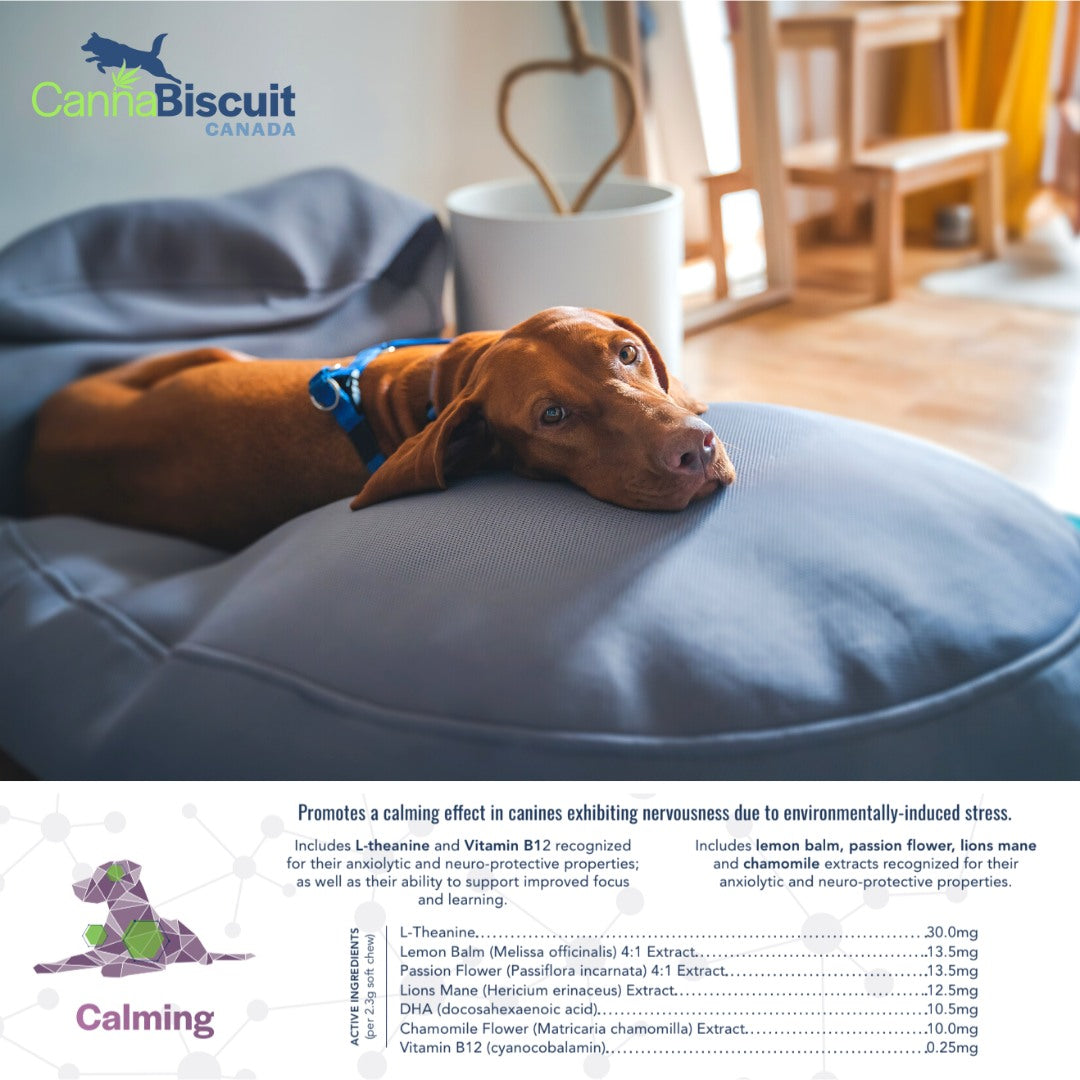 CannaBiscuit 🍁 Calming Supplement 224g