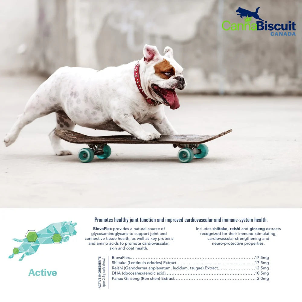 CannaBiscuit 🍁 ProActive+ with BiovaFlex for Dogs 224g