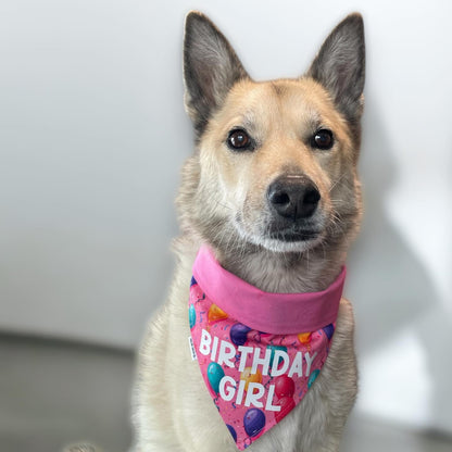 Collar Crazy Co 🍁Pink Happy Birthday Dog Bandanna