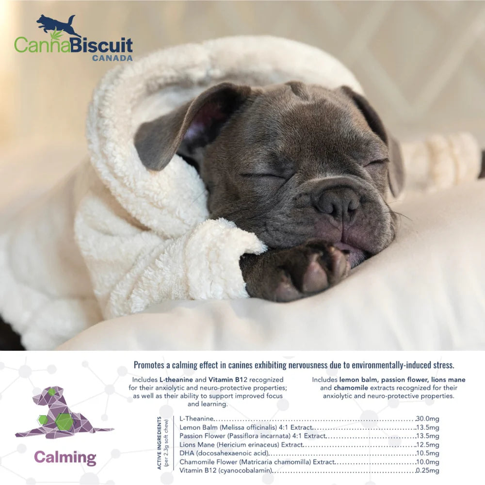 CannaBiscuit 🍁 Calming with L-Theanine & Vitamin B12 for Dogs 224g
