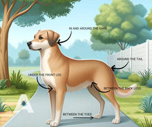 PureGard 🍁Botanical Repellant for Ticks & Mosquitos