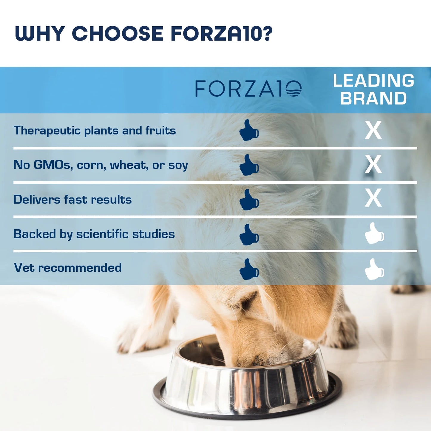 6LB Forza10 Oral Active Dog