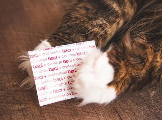 Baci 🍁 + Probio+ Cat Bonus Bag 28g