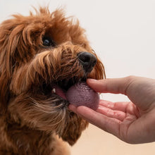 Faim Museau 🍁Healthy Delicacies Frozen Blueberry Yogurt 6 x 30g