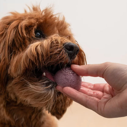 Faim Museau 🍁Healthy Delicacies Frozen Blueberry Yogurt 6 x 30g