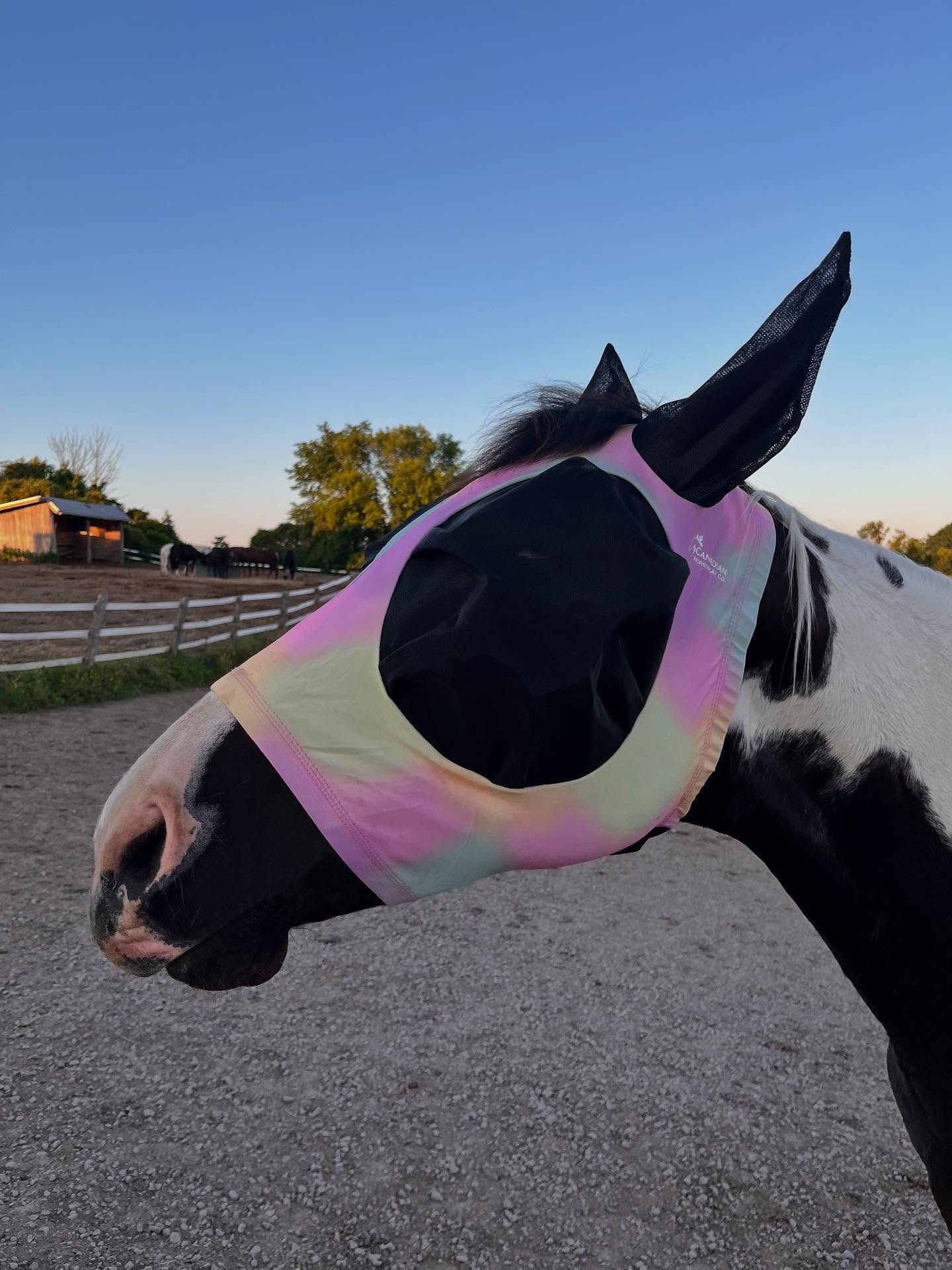 Canadian Horsewear🍁 Magic Hour Bug Eye Lycra Fly Mask
