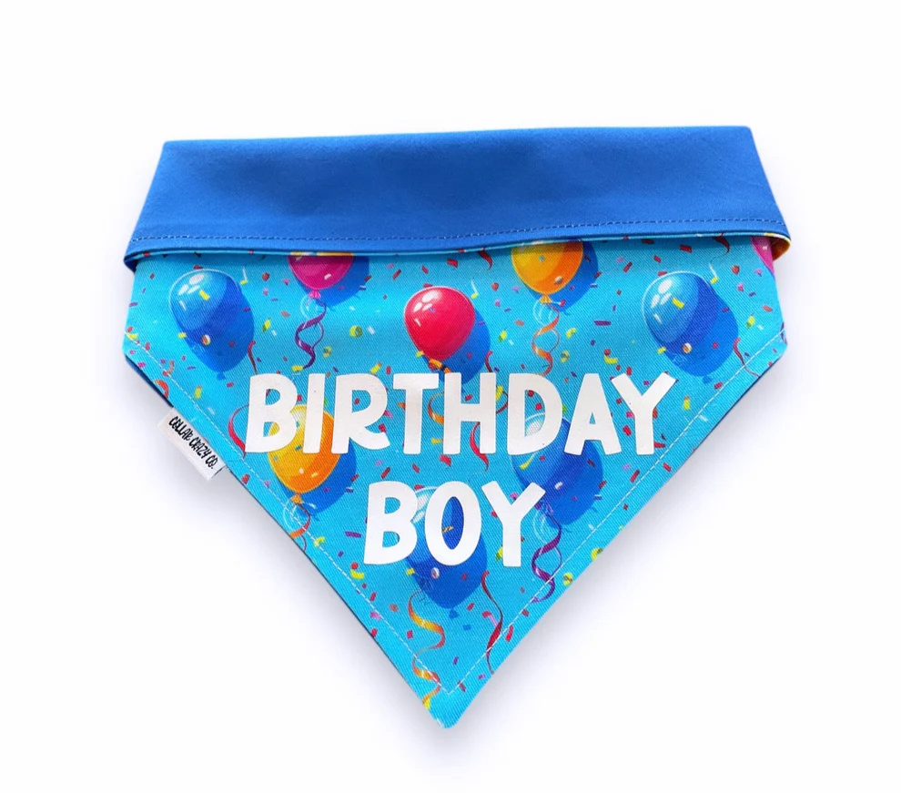 Collar Crazy Co🍁 Blue Happy Birthday Dog Bandanna