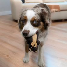 Kong Mini Otter Snuzzles XS