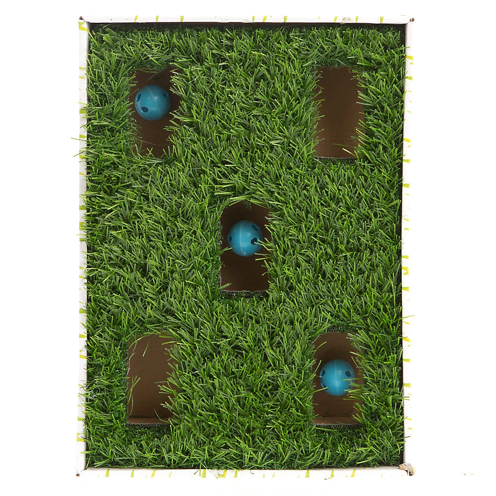 Petstages® Grass Patch Hunting Box