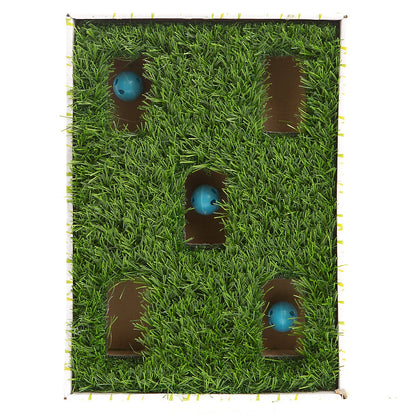 Petstages® Grass Patch Hunting Box