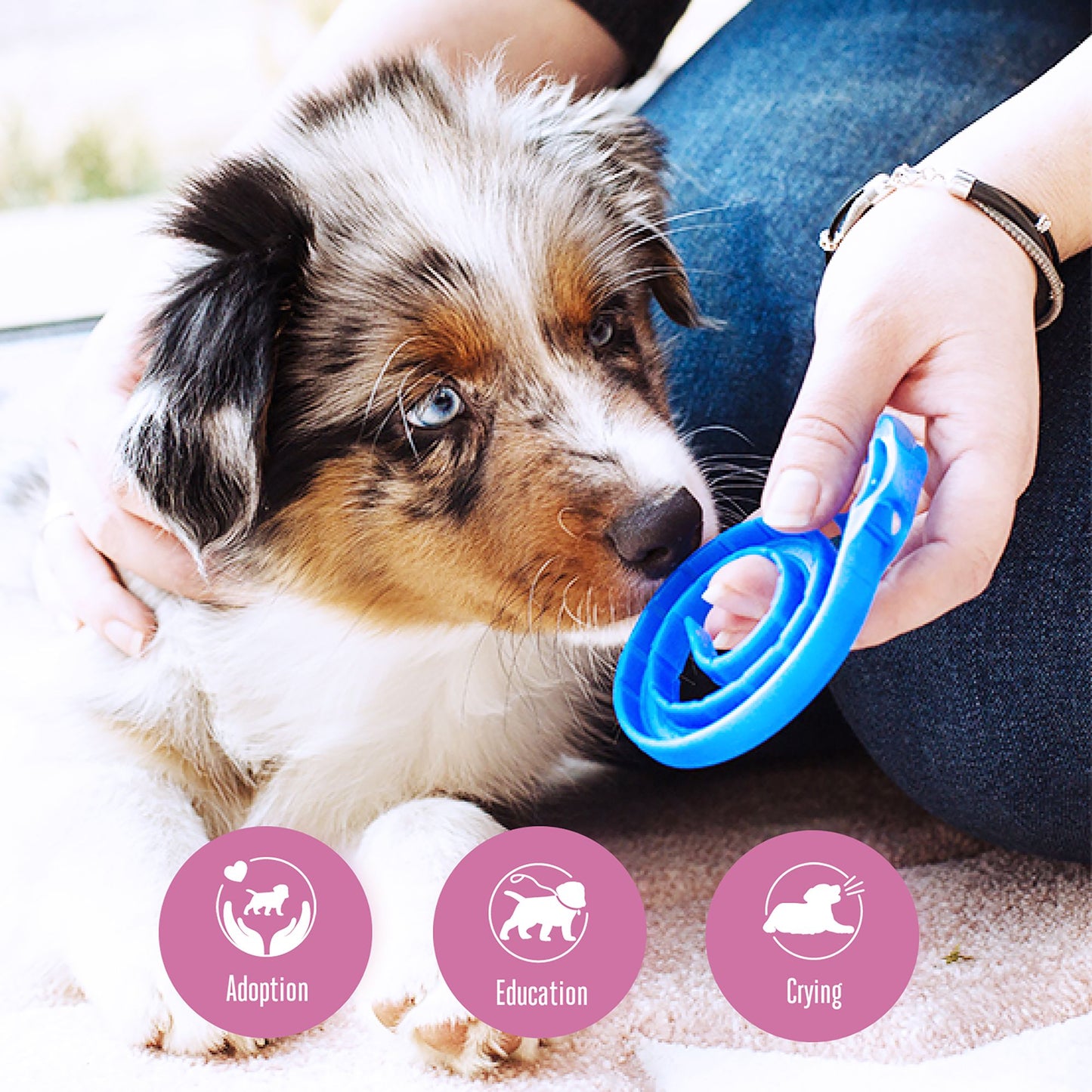 Adaptil Junior Calming Puppy Collar