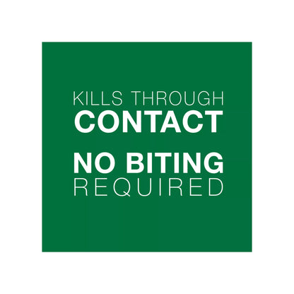 Bayer Advantage II Kitten under 2.3kg