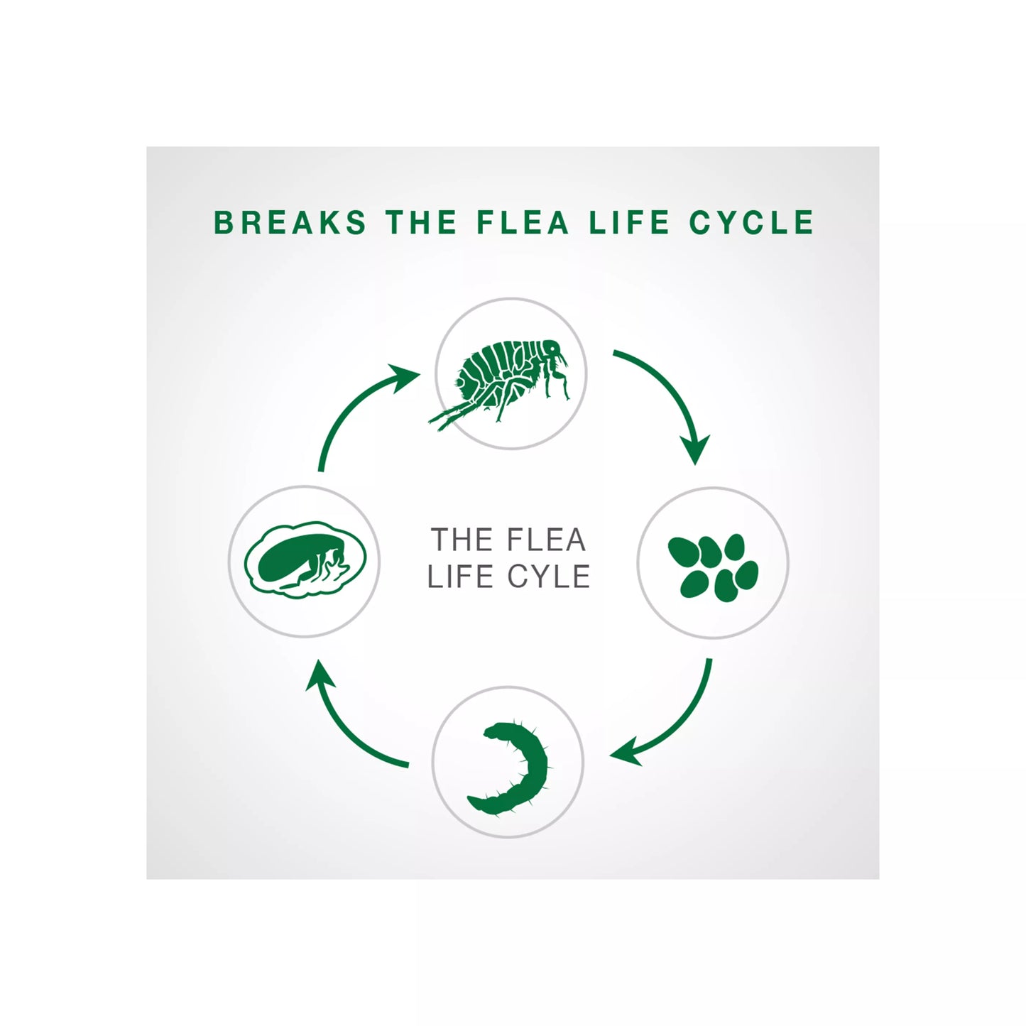 Bayer Advantage II Small Cat 2.3kg-4kg 2Pk