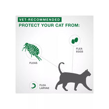 Bayer Advantage II Large Cats over 4kg 2Pk