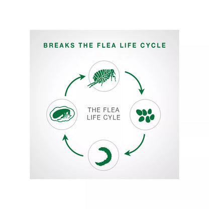 Bayer Advantage II Large Cats over 4kg 2Pk