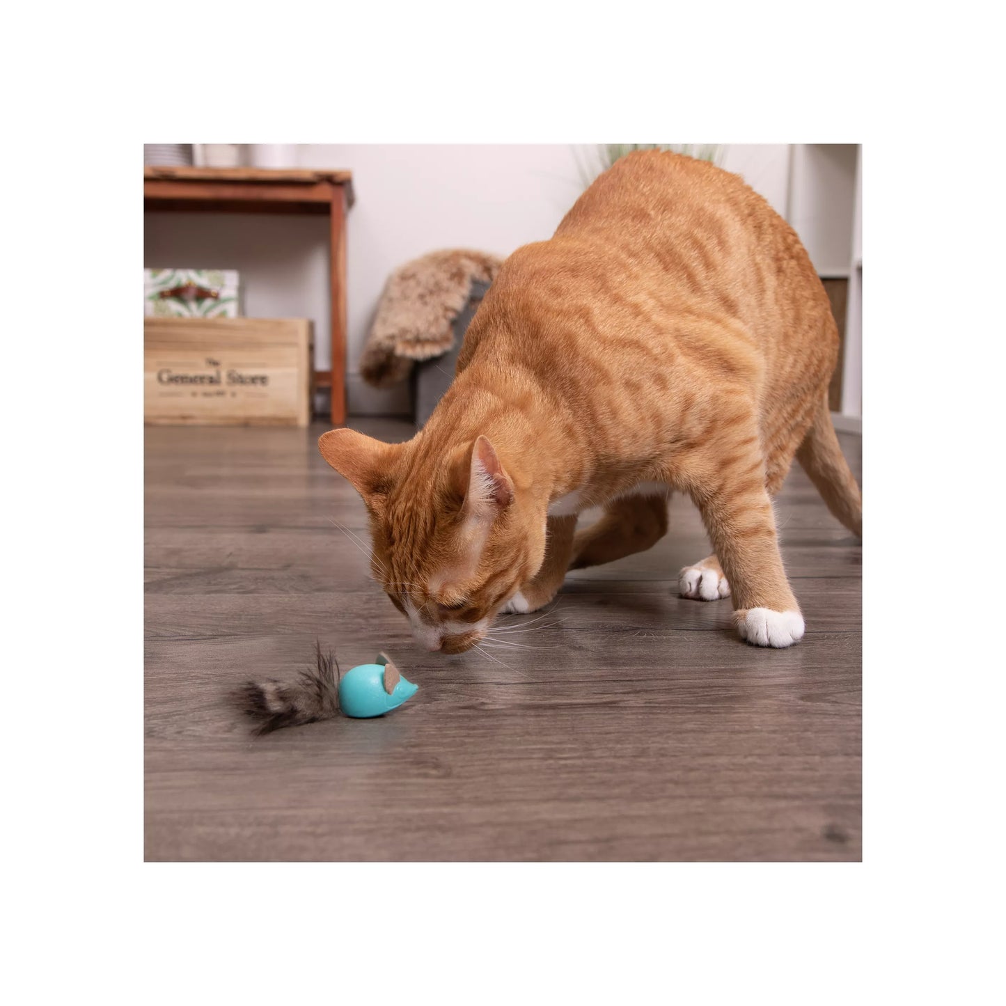 Instincts by SmartyKat Sneaky Slide Rolling Marble Raccoon Cat Toy