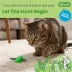 Catstages® Green Squish Prey Fly