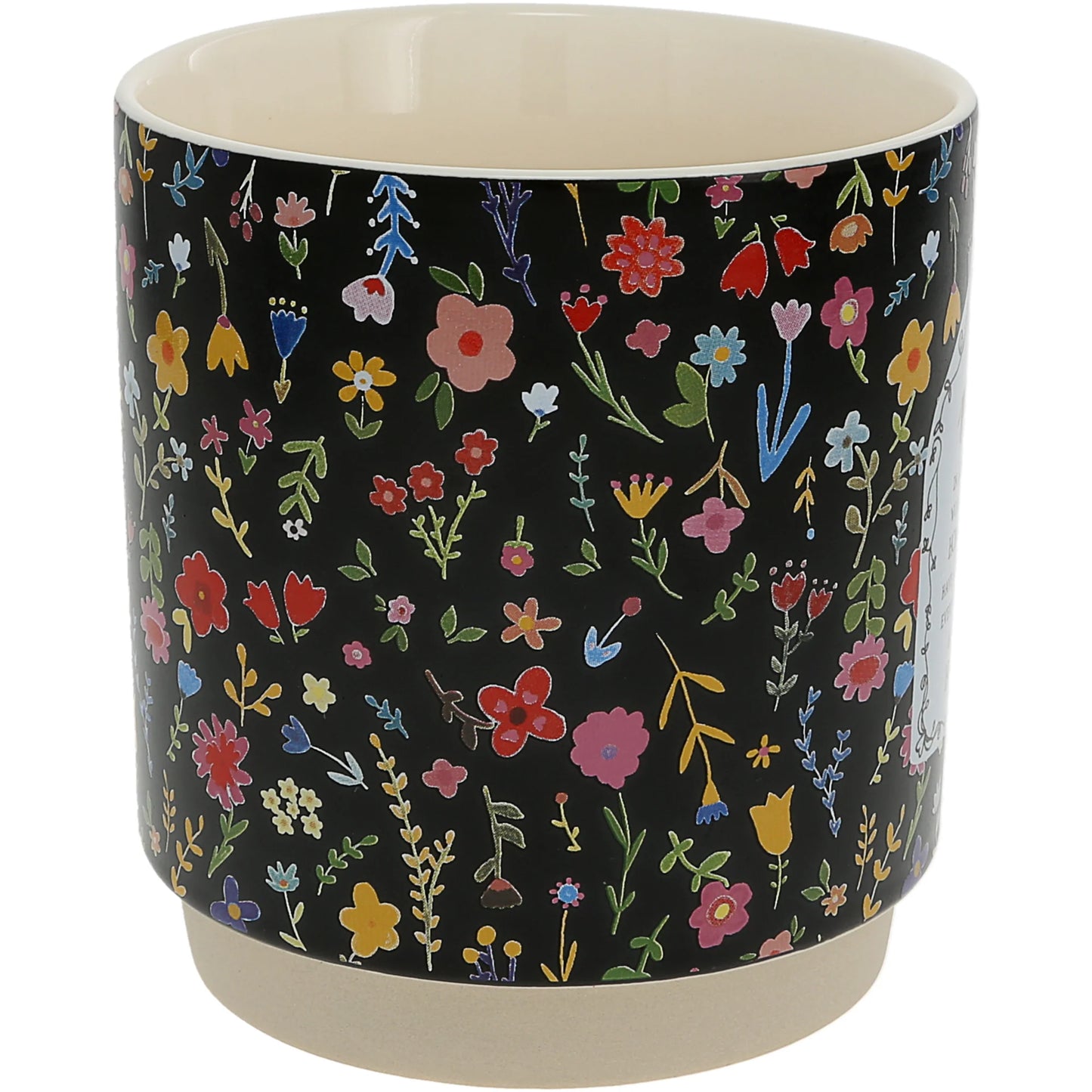 Pavillion Cat Home 18oz Mug