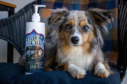 Ultra Oil Skin & Coat Supplement