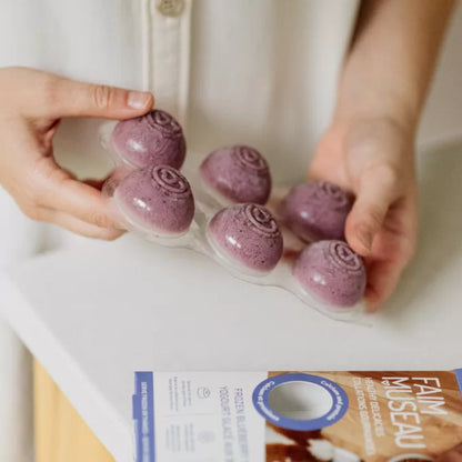 Faim Museau 🍁Healthy Delicacies Frozen Blueberry Yogurt 6 x 30g