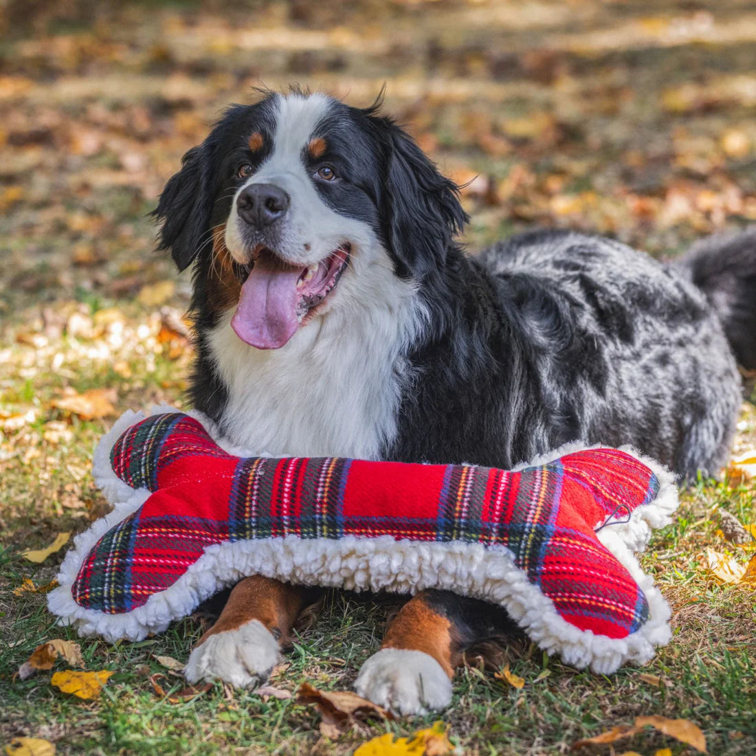 Huggle Houndz 12" Tartan Bone Dog Toy