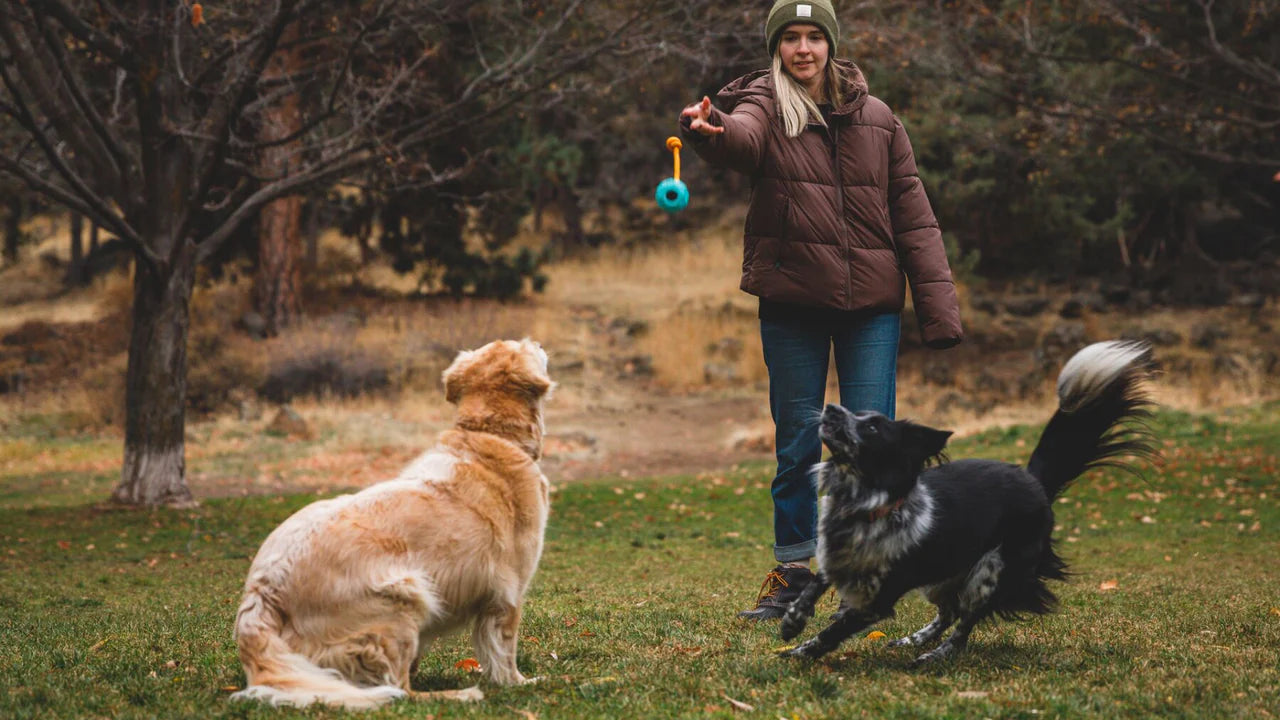 Huck-a-Cone Toy Medium