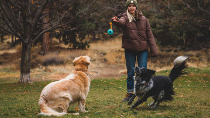 Huck-a-Cone Toy Medium