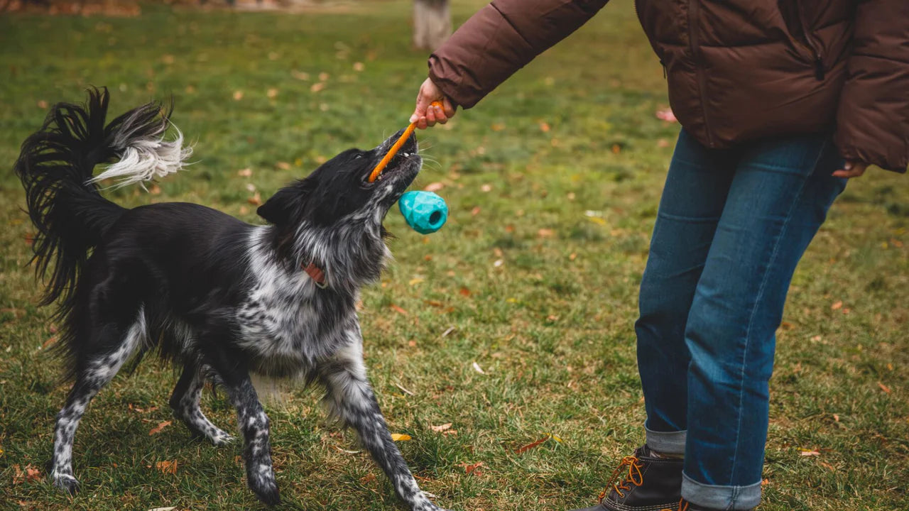 Huck-a-Cone Toy Medium