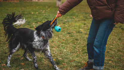 Huck-a-Cone Toy Medium