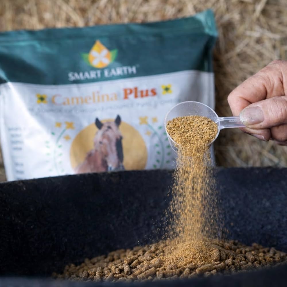 Smart Earth 🍁Camelina Plus Gastric Wellness Support for Horses 2.27kg