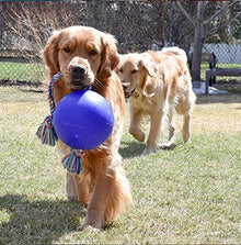 Jolly Pets Romp-n-Roll Ball Asst'd