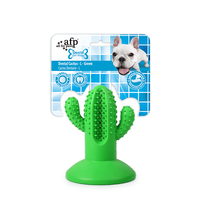 All For Paws Dental Chew Cactus