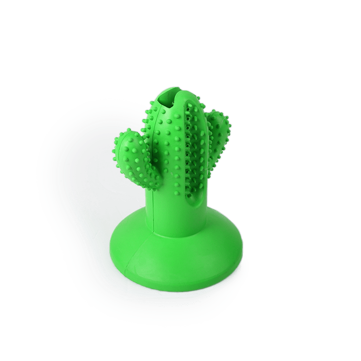 All For Paws Dental Chew Cactus