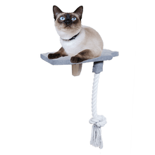 All For Paws Skywalk Step-In Platform w/Rope