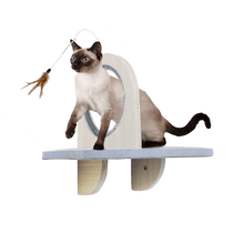 All for Paws Skywalk Groom & Play Platform