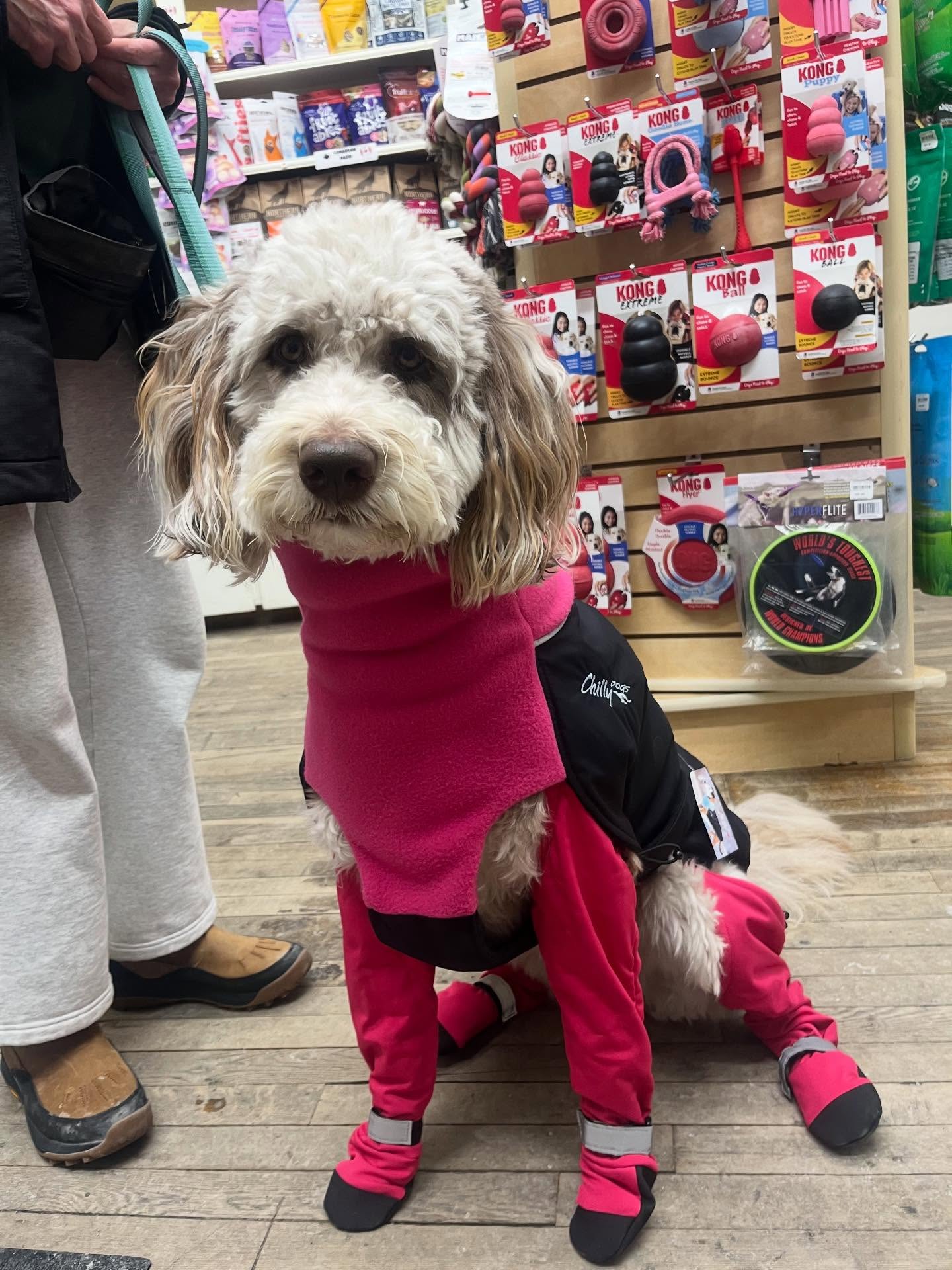 Canada Pooch Suspender Boots Pink Long