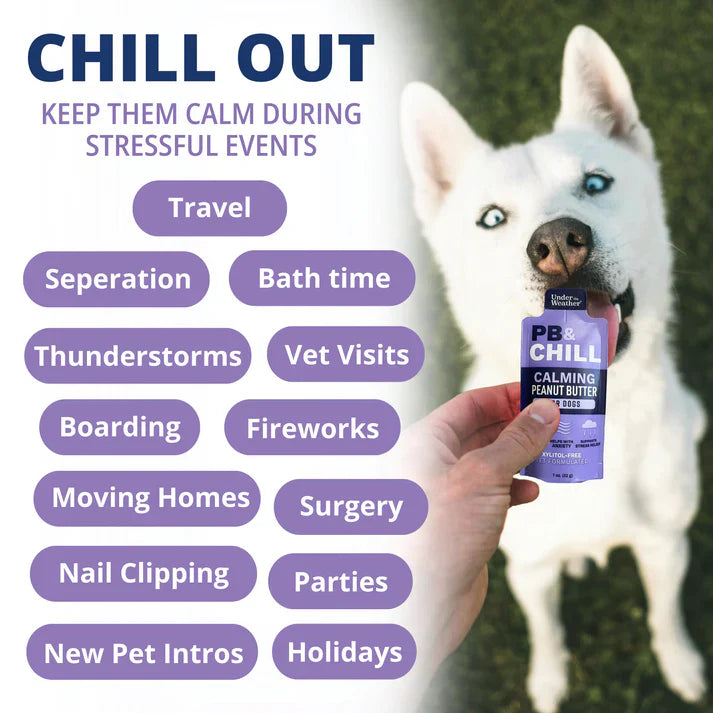 Under the Weather® PB&CHILL® Calming Peanut Butter For Dogs