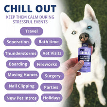 Under the Weather® PB&CHILL® Calming Peanut Butter For Dogs