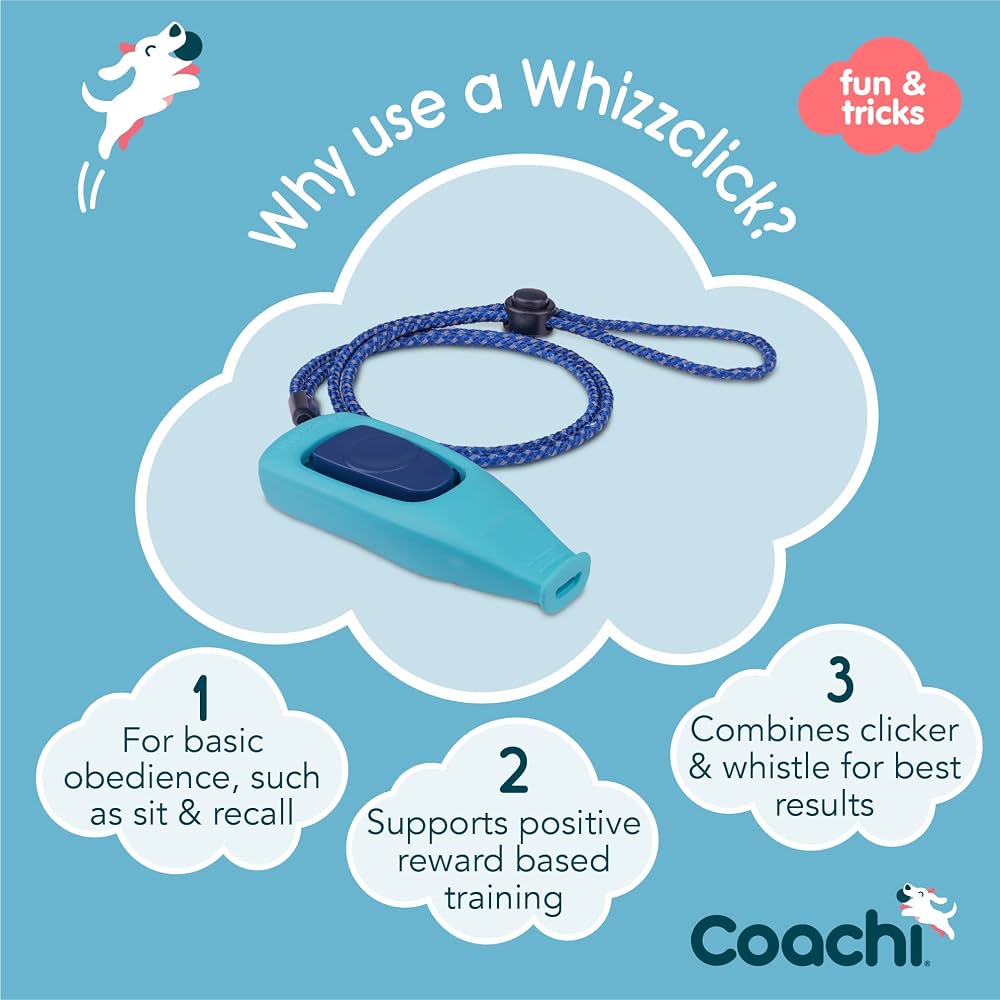Coachi Whizzclick Navy & Light Blue