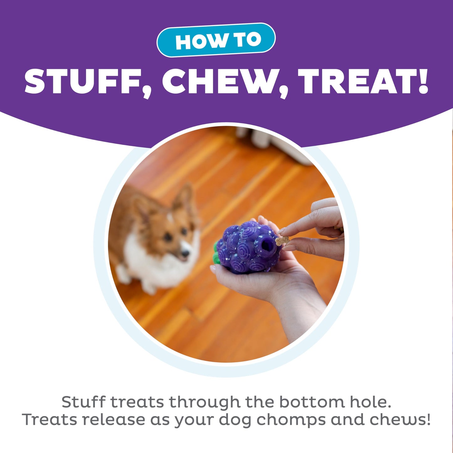 Outward Hound Grape Treat Dispenser