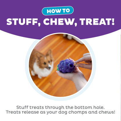 Outward Hound Grape Treat Dispenser