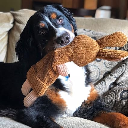 Smart Pet Love Whisper Rabbit with Removable Bottle