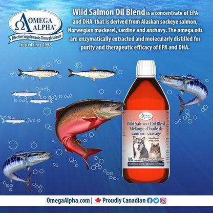 Omega Alpha🍁 Wild Salmon Oil Blend 500ml