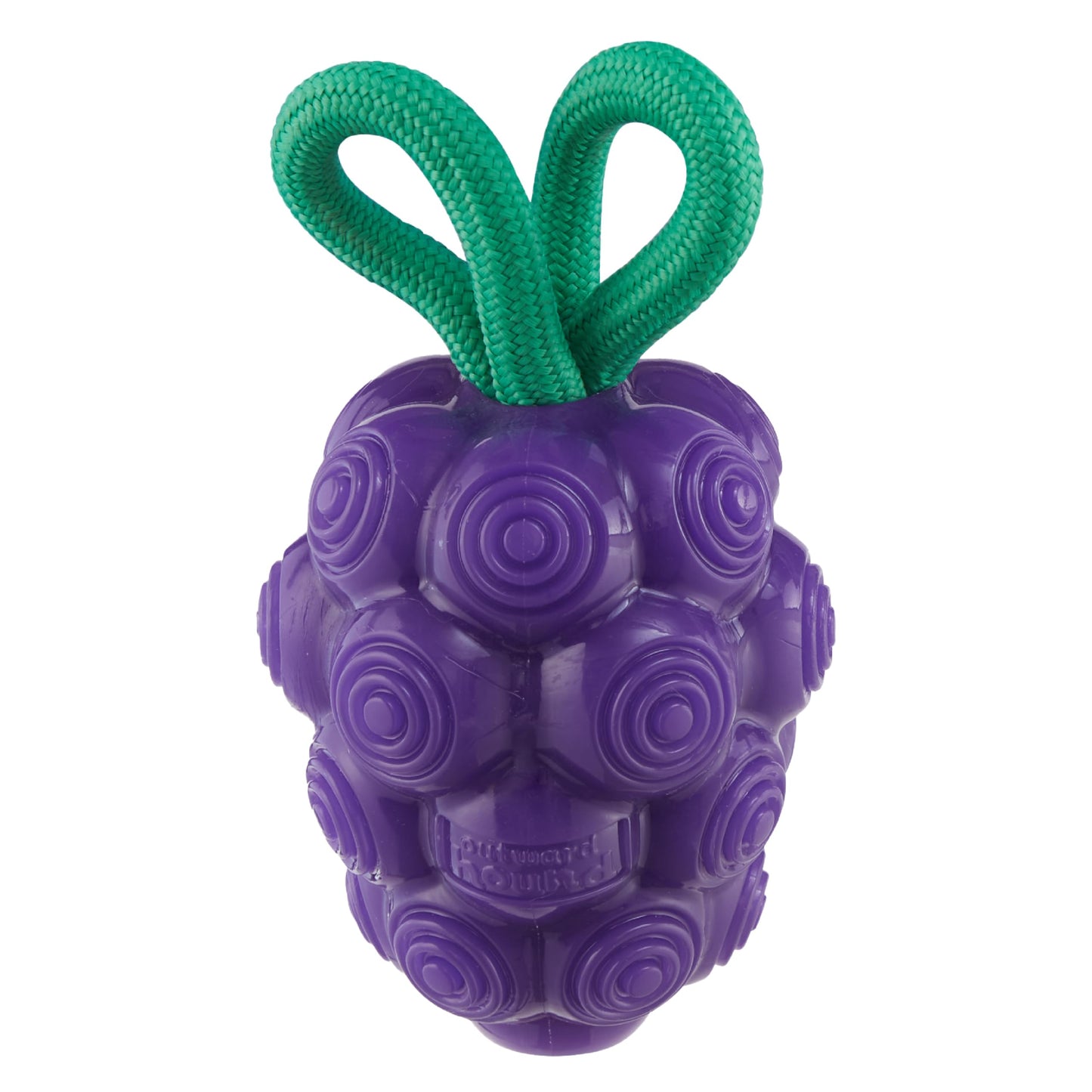 Outward Hound Grape Treat Dispenser